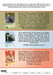 BBC Comedy Classics Dad's Army Porridge Open All Hours DVD Box Set - New Sealed - Attic Discovery Shop