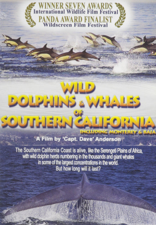 Wild Dolphins and Whales of Southern California DVD [Rare US Import] NEW Sealed - Attic Discovery Shop