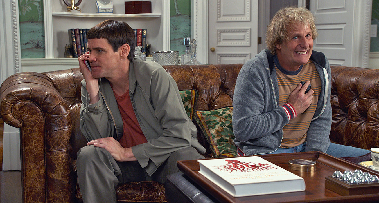 Dumb and Dumber 2 / To [Blu-ray] [2014] [Region B] - New Sealed - Attic Discovery Shop