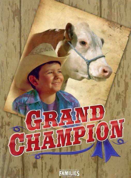 Grand Champion - (Film For Families) [DVD] [Region 2] - New Sealed - Like New - Attic Discovery Shop