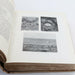 Kirkman The British Bird Account Volume 2, 3 & 4 II III IV Rare Antique Books - Good - Attic Discovery Shop