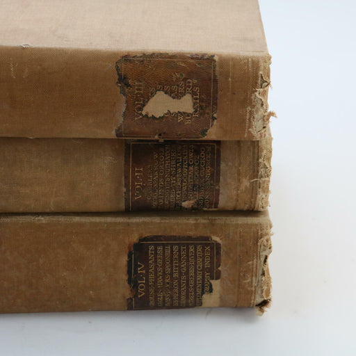 Kirkman The British Bird Account Volume 2, 3 & 4 II III IV Rare Antique Books - Good - Attic Discovery Shop