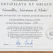 Pierre-Joseph Redoute Framed Flower Prints 3 Set Natural History + Certificates - Very Good - Attic Discovery Shop