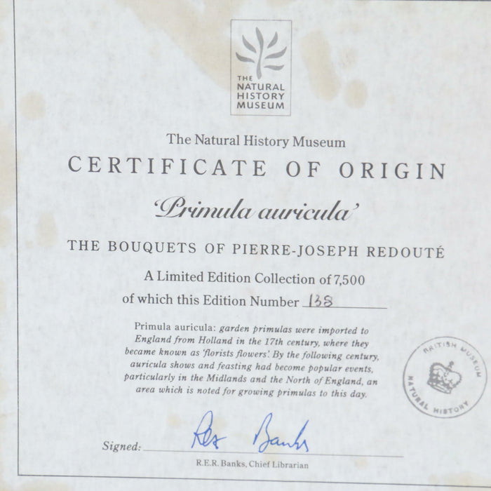 Pierre-Joseph Redoute Framed Flower Prints 3 Set Natural History + Certificates - Very Good - Attic Discovery Shop
