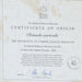 Pierre-Joseph Redoute Framed Flower Prints 3 Set Natural History + Certificates - Very Good - Attic Discovery Shop