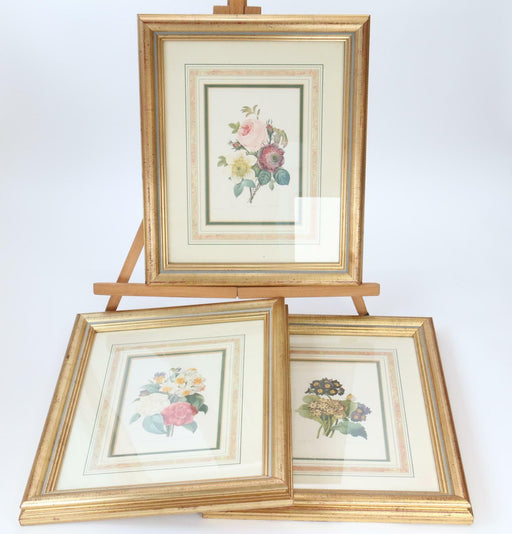 Pierre-Joseph Redoute Framed Flower Prints 3 Set Natural History + Certificates - Very Good - Attic Discovery Shop