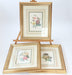 Pierre-Joseph Redoute Framed Flower Prints 3 Set Natural History + Certificates - Very Good - Attic Discovery Shop