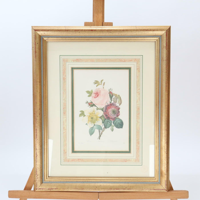 Pierre-Joseph Redoute Framed Flower Prints 3 Set Natural History + Certificates - Very Good - Attic Discovery Shop