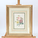 Pierre-Joseph Redoute Framed Flower Prints 3 Set Natural History + Certificates - Very Good - Attic Discovery Shop