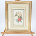 Pierre-Joseph Redoute Framed Flower Prints 3 Set Natural History + Certificates - Very Good - Attic Discovery Shop