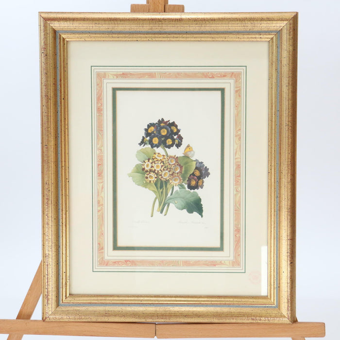 Pierre-Joseph Redoute Framed Flower Prints 3 Set Natural History + Certificates - Very Good - Attic Discovery Shop