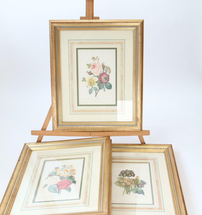 Pierre-Joseph Redoute Framed Flower Prints 3 Set Natural History + Certificates - Very Good - Attic Discovery Shop