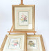 Pierre-Joseph Redoute Framed Flower Prints 3 Set Natural History + Certificates - Very Good - Attic Discovery Shop